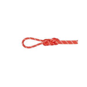 Cuerda Doble-gemela 8.0 Alpine Classic 60m de Mammut